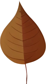 rendy Foliage Design, Leaf PNG Download, Tropical different type exotic leaves set_7.webp